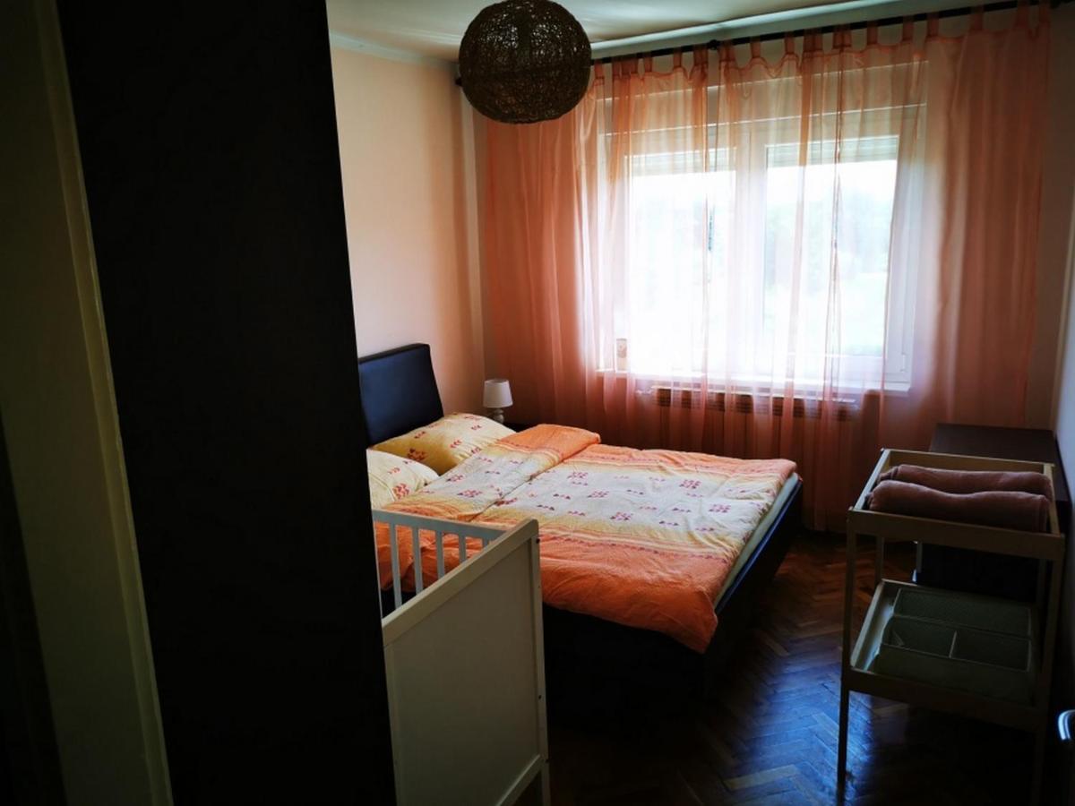 Apartmant Sandra - Big Terace And Free Parking Apartman Károlyváros Kültér fotó