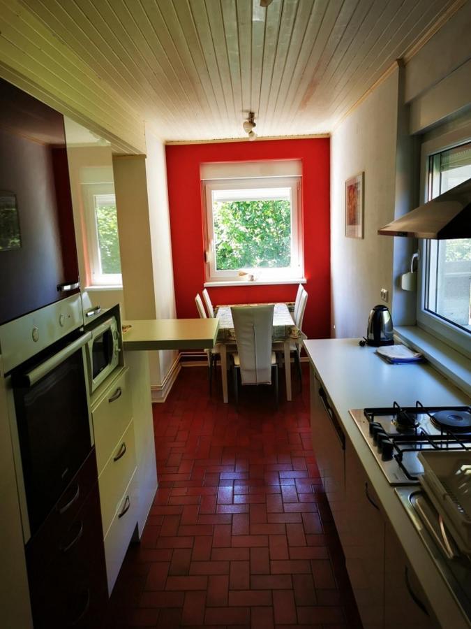 Apartmant Sandra - Big Terace And Free Parking Apartman Károlyváros Kültér fotó