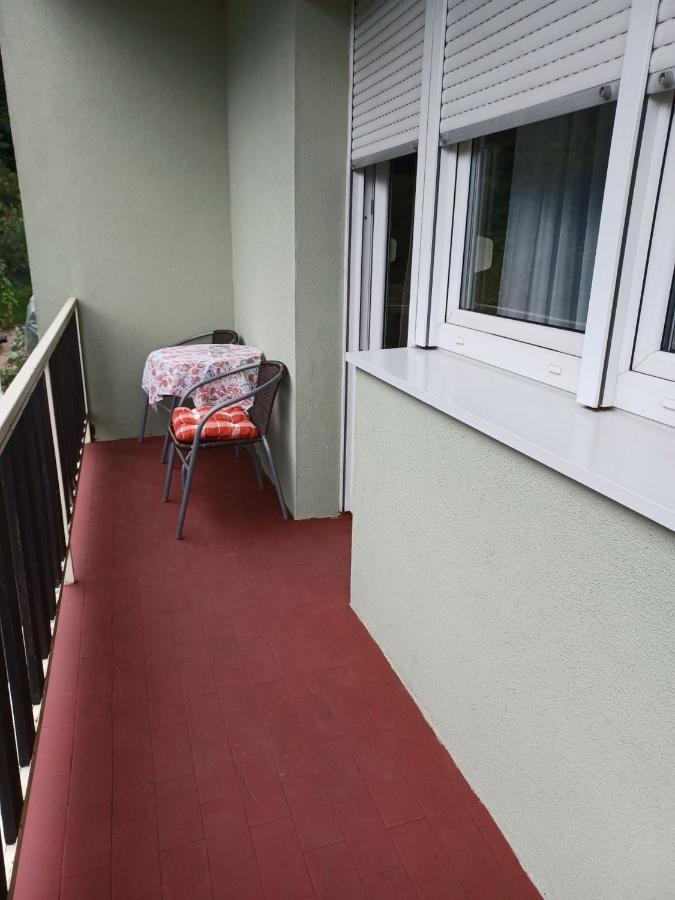 Apartmant Sandra - Big Terace And Free Parking Apartman Károlyváros Kültér fotó