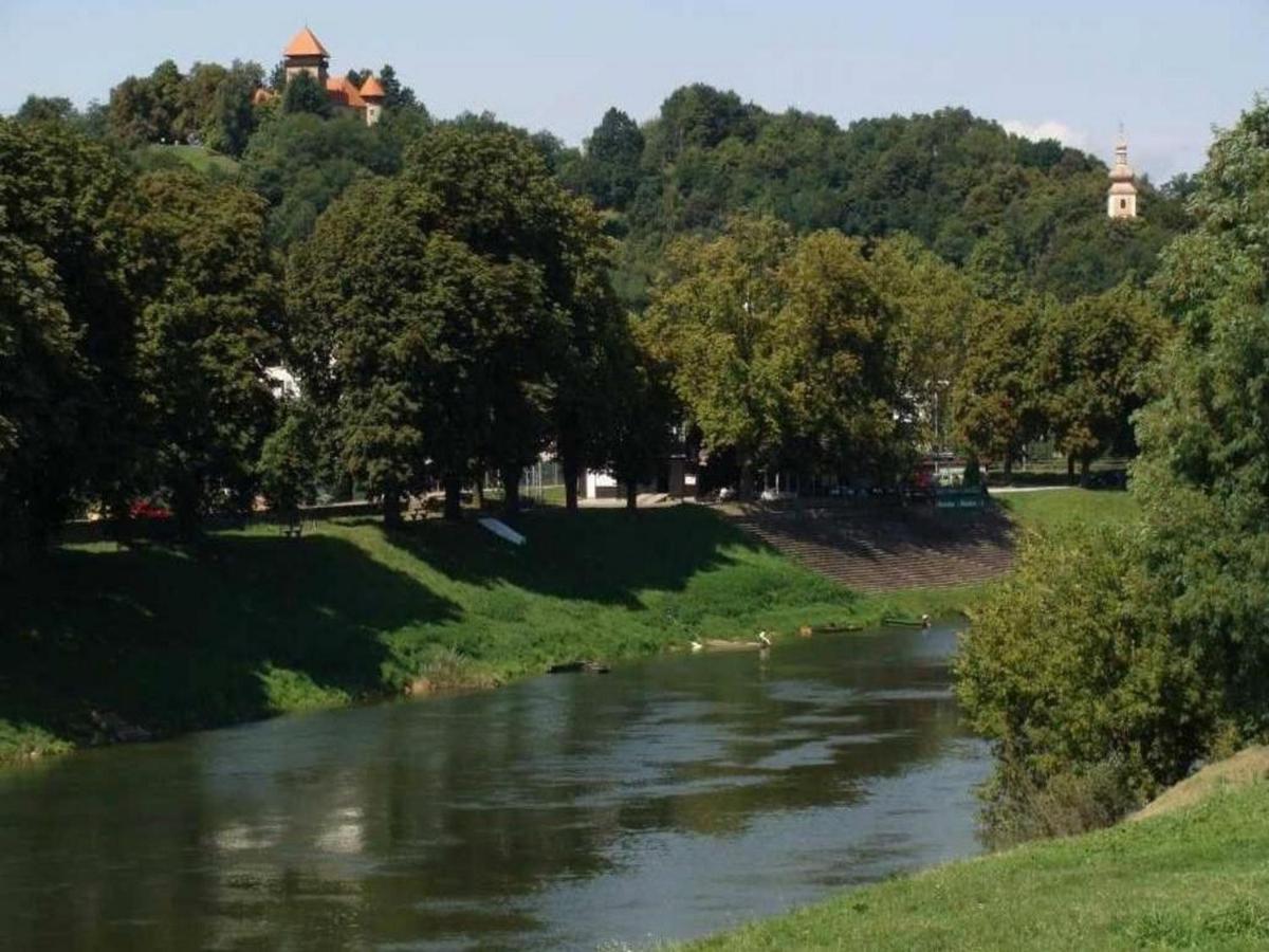 Apartmant Sandra - Big Terace And Free Parking Apartman Károlyváros Kültér fotó